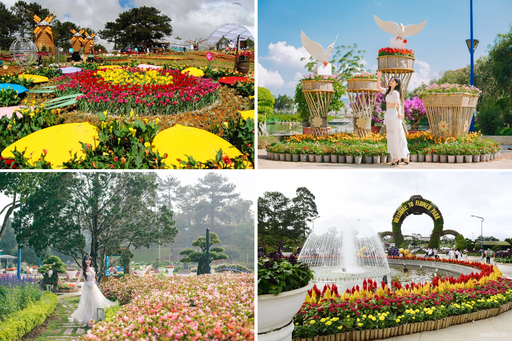 Vườn hoa Đà Lạt với hơn 300 loài đua nhau khoe sắc 